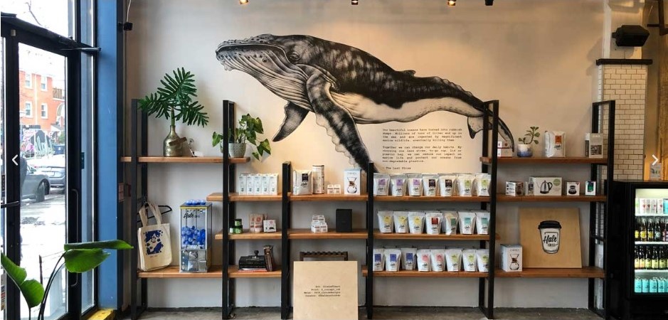Large humpback whale mural above retail shelves in a cafe
